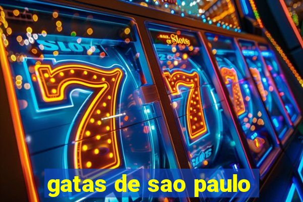 gatas de sao paulo